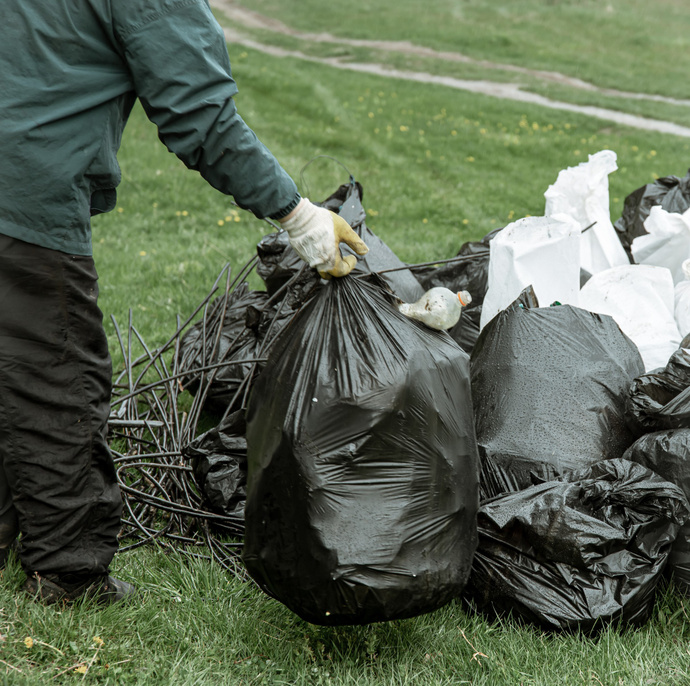 Yard Cleanup