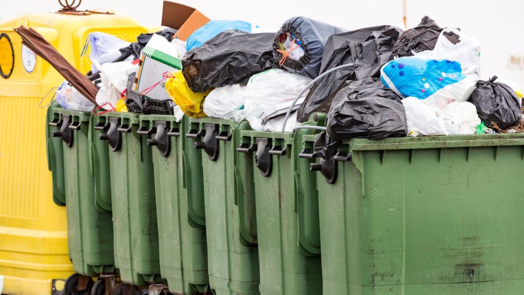 Yard Waste Dumpster